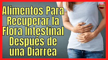 ¿Cómo se restablece la flora intestinal tras una diarrea?
