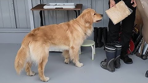 予告【切り抜き】実は我が家には色々なお米があるんです。