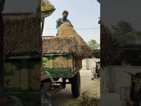 పైసా వుంటేనే పేరు ఉంటుంది💰