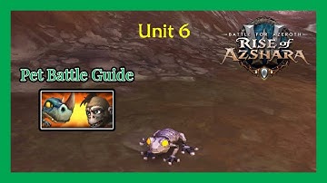 Unit 6 WoW Pet Battle Guide