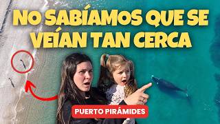 Download Lagu Puerto Pirámides: EL PUEBLO con MÁS BALLENAS que habitantes 🇦🇷 MP3 Download Lagu Puerto Pirámides: EL PUEBLO con MÁS BALLENAS que habitantes 🇦🇷 MP3