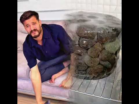 رد فعل أمي عند لعبي للألعاب أثناء تنظيفها أجنبي مقابل عربي احبد احبد برو مكس 999 اكسبلور