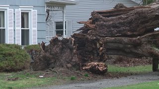 Strong storms create damage in Mount Gilead Net Worth