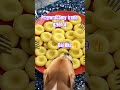 Używajcie tego dźwięku, daj like #memes​ #funny​ #shorts​ #trend​ #fun​ #dog​ #youtube​ #śmieszne