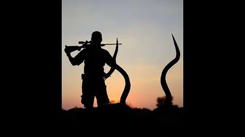 Big kudu bull hunt in South Africa Limpopo Region