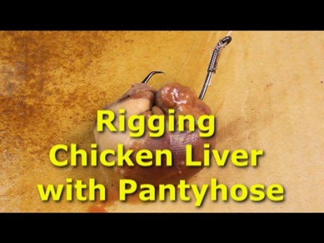 Tie chicken liver to the hook in 22 seconds with bait thread 