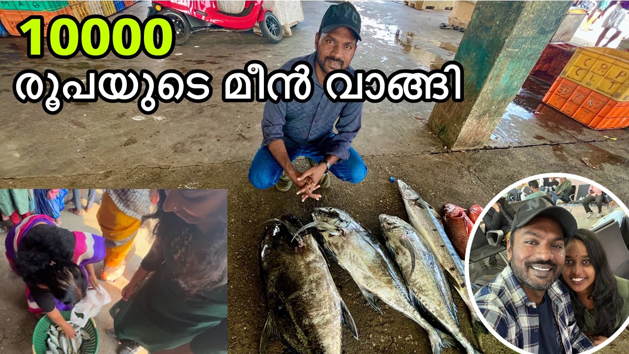 വാടി മീൻ മാർക്കറ്റിൽ ചാകര | kollam vadi fishing harbour