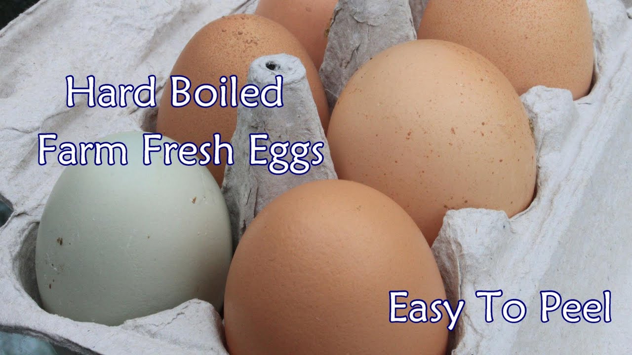 How to Make Perfect Hard Boiled Eggs - Brooklyn Farm Girl