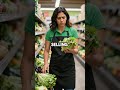 Grocery Manager Refuses $10K Bribe, Gets $40K Raise Instead