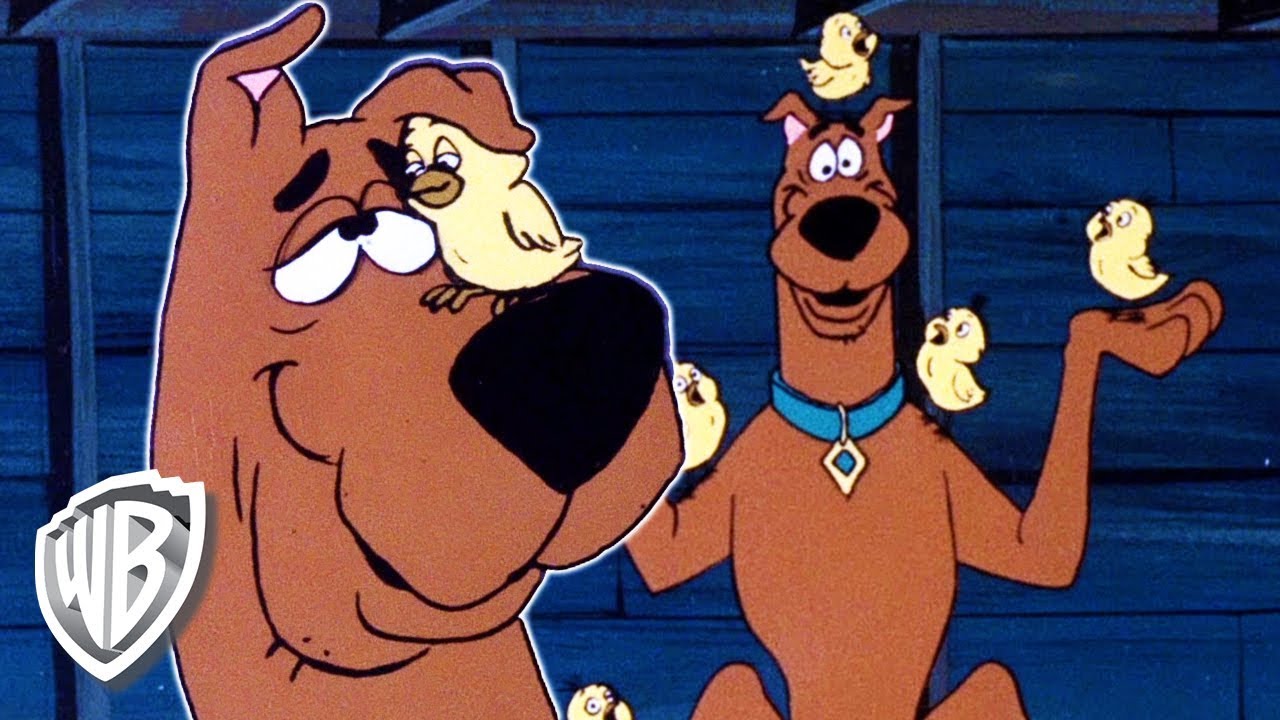 Scooby-Doo! en Español | Scooby y el Pollito