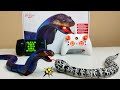 RC King Cobra Snake Vs RC Rattle Snake - Chatpat toy tv