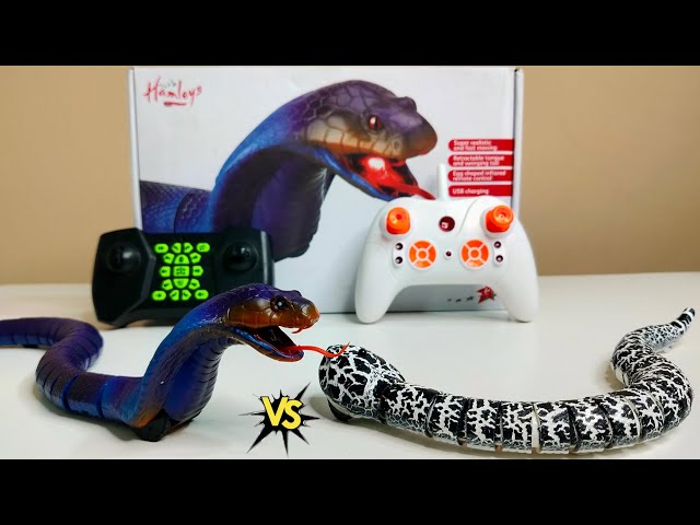 RC Snake Unboxing & Testing - Chatpat toy tv 