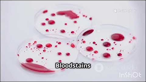 How Forensics Solve Crimes 👁️