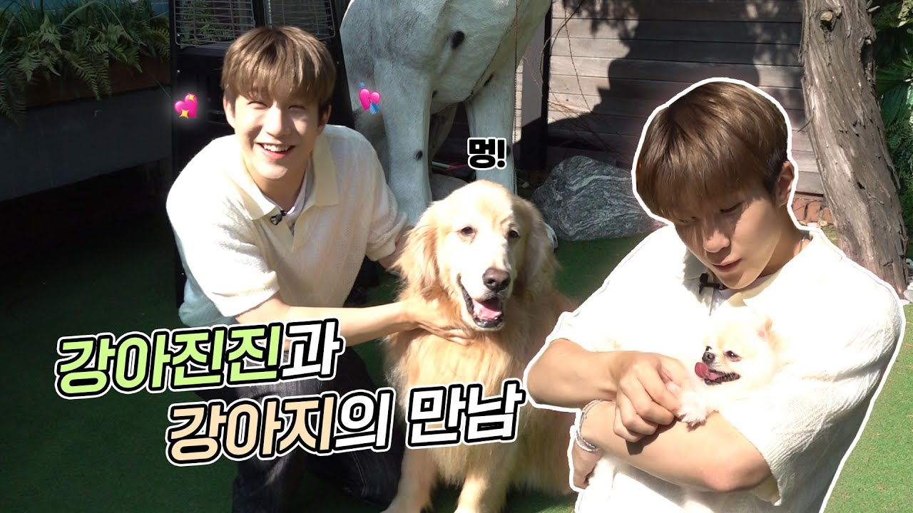 흥미진진🐶 “너… 내 강아지니?” l 강아지들이랑 잔뜩 힐링하고 왔어요 🥰💘