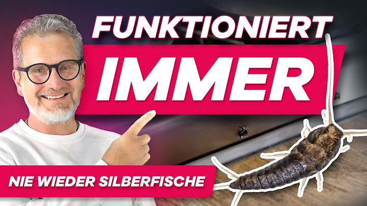 Noch heute Papierfische & Silberfische bekämpfen - Alle Techniken einfach erklärt!