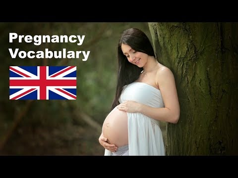 Pregnancy Vocabulary - English Like A Native