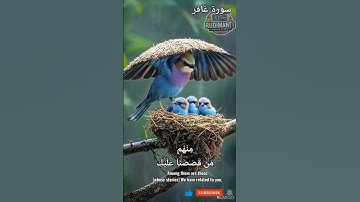 القارئ خالد الجليل - تلاوة عطره من سورة غافر #المصحف # قرآن