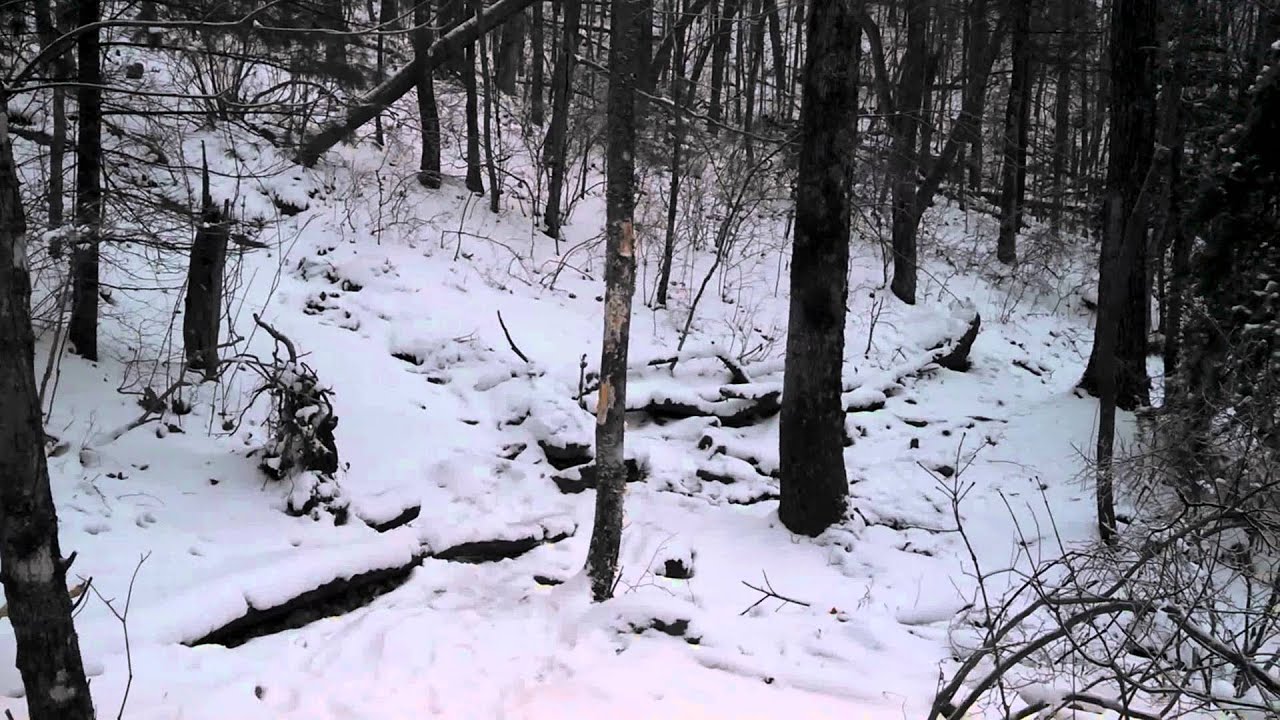 Byron Herbert Reece trail pt 7 - YouTube