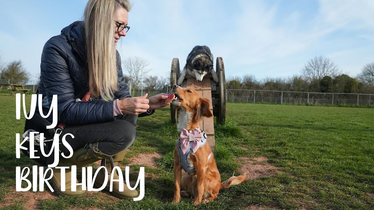 IVY says HAPPY BIRTHDAY to K'EYUSH YouTube