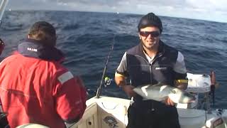 Kingfish Techniques