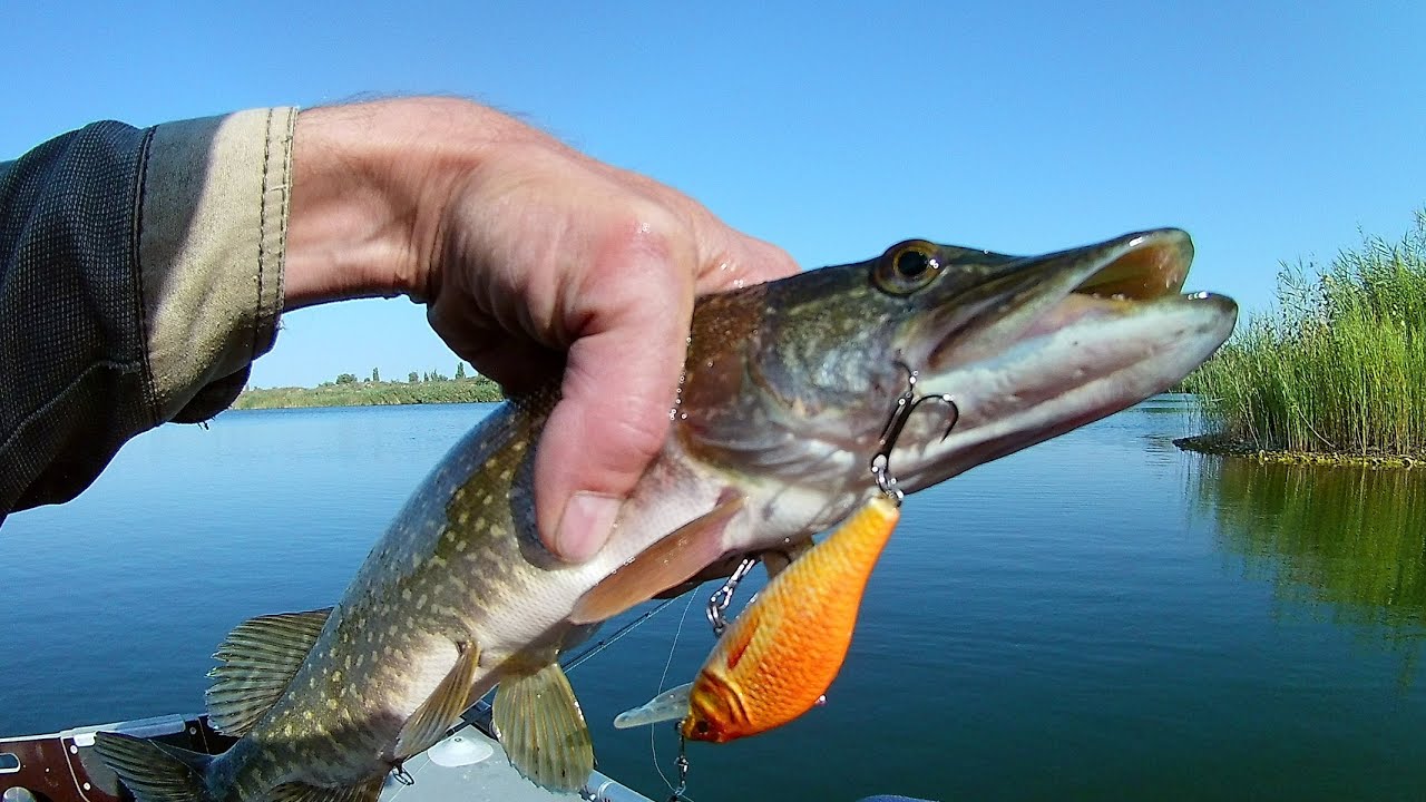 рыбалка свердлова. посёлок имени свердлова. карьер поселок свердлова. посёлок имени свердлова. рыбалка свердлова.