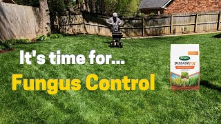 Prevent Fungus In Your Lawn!!
