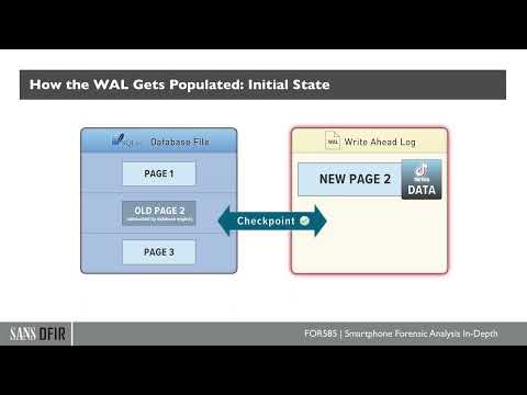 FOR585 Course Animation: How WAL Gets Populated Initial State