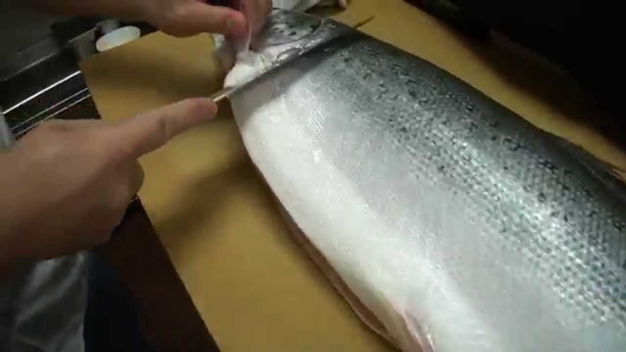 How To Fillet a Whole Salmon - How To Make Sushi Series | Hiroyuki Terada - Diaries of a Master Sushi Chef