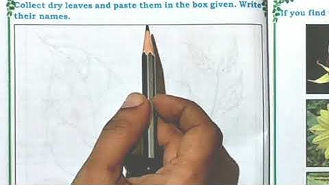 Class 2 EVS | Lesson 3 | Plants of the Backyard | Karnataka Board | NCERT Syllabus