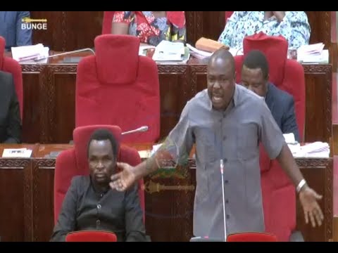 MIMI SITETEI MWIZI UFISADI UMEFANYWA NA WATEULE WA RAIS JOHN HECHE