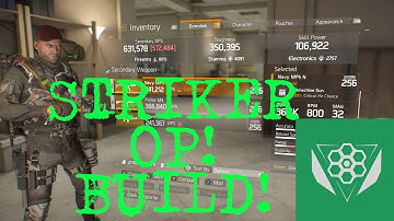 1.6 STRIKER DPS BUILD One Of The Best Sets? (The Division)