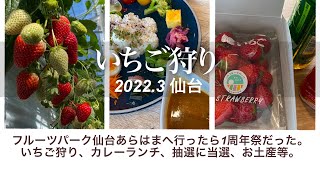 いちご狩り 2022年春 フルーツパーク仙台あらはま 1周年祭