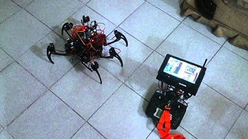 Primera prueba de caminata autónoma hexápodo con visión artificial