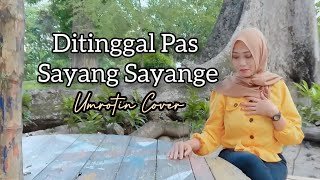 DITINGGAL PAS SAYANG SAYANGE | UMROTIN COVER