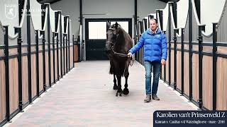 Karolien van't Prinsenveld Z