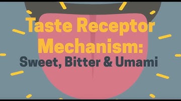 Taste Receptors