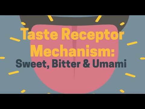 Video: Gdje se nalaze receptori za okus?