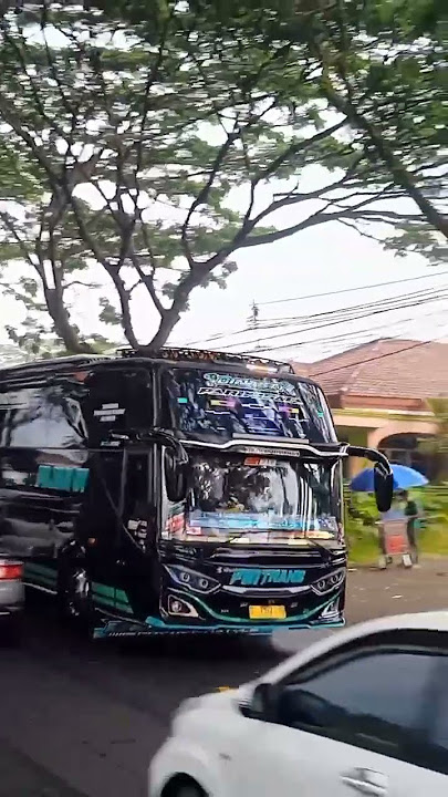 Dinasty membasuri dengan nada Karmila yang di Populerkan oleh Farid -Hardja #basuri #busmania