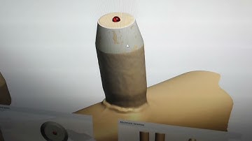 ScanBox MultiUnit Scan Test