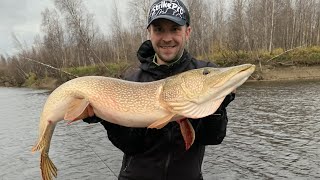 видео: Итоги сезона 2020. Часть 2. Курьезы, трофеи, приманки картинка: Итоги сезона 2020. Часть 2. Курьезы, трофеи, приманки