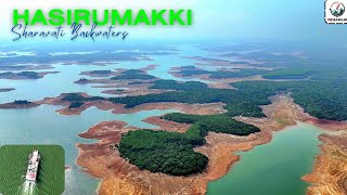 The Backwaters & The Ferry 🚢 #travel #nature #karnataka