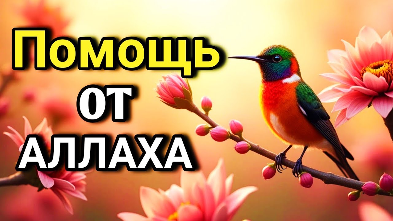 💙 ОЧЕНЬ СИЛЬНЫЙ ДУА - Аллах дарует выход из любой трудности! 🔑🤲💯