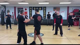 Tai Chi  Deflect downward Parry and Punch to withdraw and Push Application 1