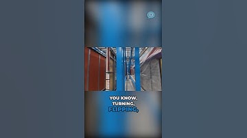 Automated Production Line: Collaboration & Optimization