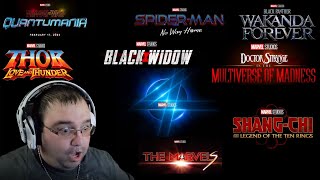 Marvel Studios Celebrates The Movies Reaction