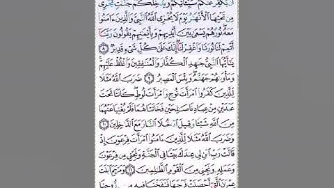 #سورة التحربم#تلاوة الآنسة سمية #الآية 8 #قليل دائم خير