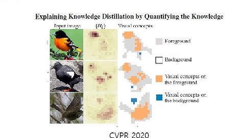 [kor/eng sub!]explaining knowledge distillation by quantifying the knowledge - 김동희