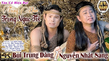 TÂN CỔ GIỌNG CA LẠ 2021 - TIẾNG ĐÀN TRONG NGỤC TỐI / BÙI TRUNG ĐẲNG - NGUYỄN NHẤT SANG