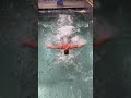 Swimming training looks intense! 🤯🎥: sterazzo86 (IG)