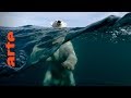 +/- 5 Meter - Unter dem Eis tauchen | 360° Video | ARTE